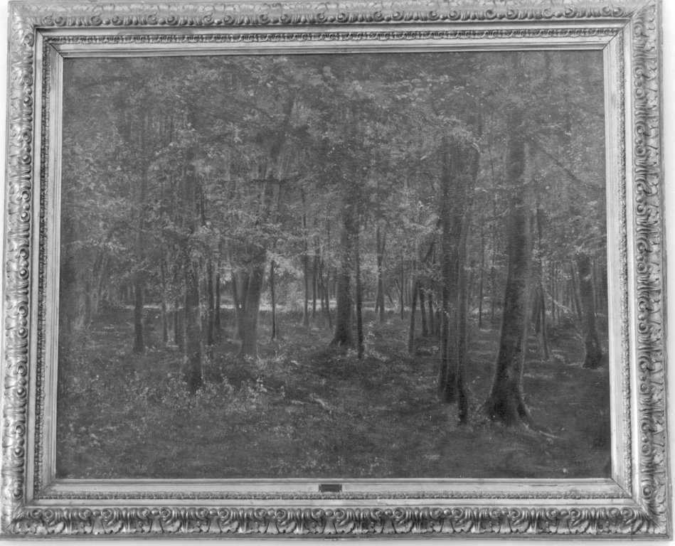 bosco (dipinto) by Borsa Emilio (fine/inizio secc. XIX/ XX)